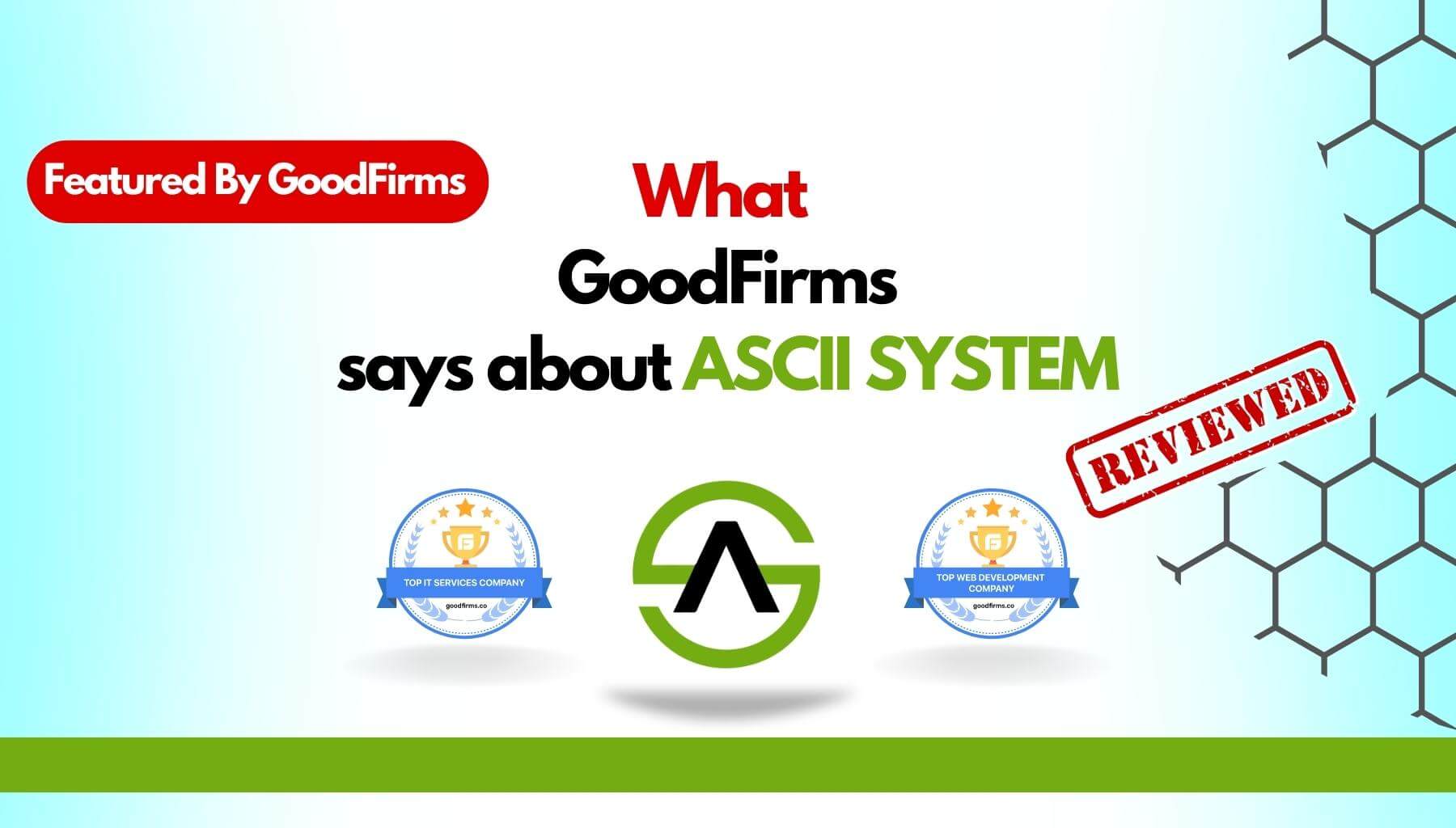Succeed In Providing IT Solutions GoodFirms-Ascii System